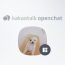 하이댕댕 이미지