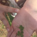 성주자연오토캠핑장 | 🌿 [대구 근교] 비슬산 자연휴양림 오토캠핑장 후기