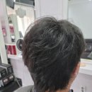 나비헤어 이미지