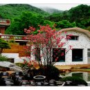 꿈꾸는 정원 이미지