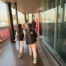 동방빌딩 | 상하이 동방명주 낮 방문 후기 | 입장권 구성·대기시간·도시역사박물관까지 정리