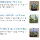 이끼창작스튜디오 이미지