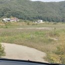 목도강변유원지 네이버블로그