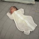 참사랑어머니회 | 산후도우미 서비스 진주 ‘참사랑어머니회’ 솔직 이용 후기