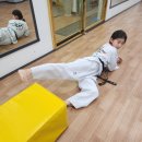 광명연세정도태권도장 이미지