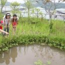 대한통운 건물 이미지