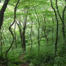 경승목장 Daum카페