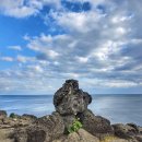 소사랑돼지꿈 | 제주 여행 3일 | 성산바다풍경 서귀피안베이커리 따라비오름 큰엉해안경승지 바다를본돼지