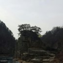 묘장초등학교 이미지