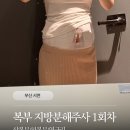 가꾸는동안배곧점 | 부산 서면 복부 지방분해주사 1회차 붓기 아랫배 라인 정리 후기