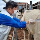 산하 한우농장 이미지