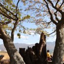 낙동강자전거길7 이미지