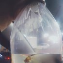마라도활어횟집