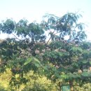 투구봉쉼터 이미지