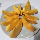 조단우리가락연구회 | 2025년 복숭아(그린황도/조단장/나연황도/찌오마루/코이미라이/스위트광/용택골드/레지나/월미/홍백...