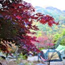 덕유대야영장 이미지