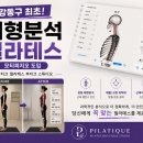 필라피지오밸런스 네이버블로그