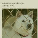 대산실업 이미지