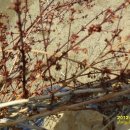 관호농장 이미지