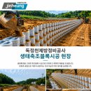 독정천 네이버블로그