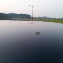 (주)유천