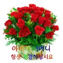 우아하개 이미지