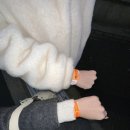 시애틀 | 밴쿠버에서 시애틀 당일치기 투어 후기🇺🇸