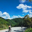 와룡리마을길 이미지