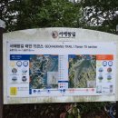 서해랑길75코스 청산리나루터에서 어은2리마을 구도항까지 (일부)14.3KM 4시간10분소요 이미지