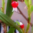 티지나SM 이미지