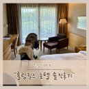 (주)대빵오락실 방이점 | 9개월 아기와 롤링힐스 다녀온 솔직후기 룸컨디션, 부대시설, 육아용품 대여