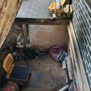 추단만월 이미지