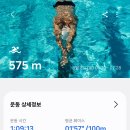 수영 이미지