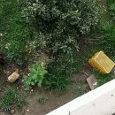 은파농장 이미지