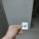 몬띠 이미지
