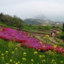 갈맷길(2코스) 이미지