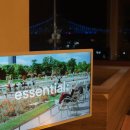 파라스테이 이미지