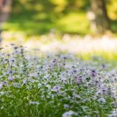 (주)삼문 이미지