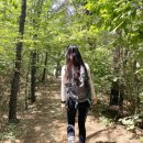 무봉산둘레길 | [화성 무봉산 등산 후기] 화성시청에서 무봉산 둘레길 걷기! + 주차 정보까지