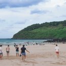 공립새솔어린이집 | 제주도 자녀 교육 환경 총정리: 어린이집부터 고등학교까지📋 이번 편 목차