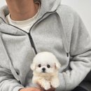 소문켄넬 이미지