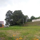 오두산 통일전망대 입구 이미지