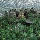 거제식물원 후기: 푸른 열대 우림 속 여행 이미지