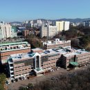 충북대학교 동물병원 이미지