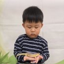도마뱀 친구를 만났습니다 이미지