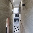 아미티스 이미지