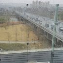 비멜트 이미지