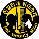 5초김밥 이미지