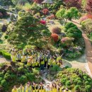 동국제약 이미지