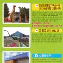 당항포관광지오토캠핑장 이미지